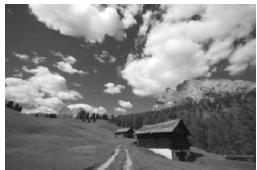 CANON EOS 600D - Image captured - 1