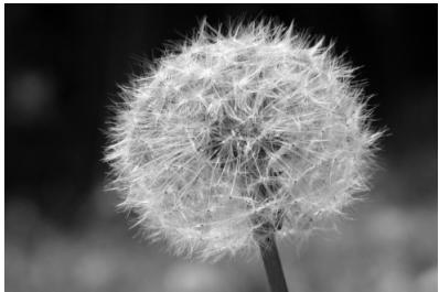 CANON EOS 600D - Photographier des scènes de nuit. - 4