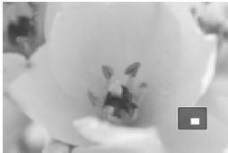 CANON EOS 600D - Agrandissez l'image. - 3