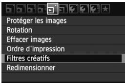 CANON EOS 600D NU - Traitement des images - 2