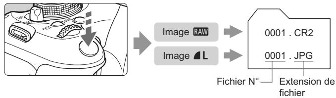 CANON EOS 600D NU - Quand utiliser RAW? - 1