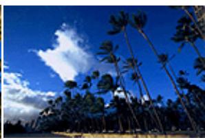 CANON PIXMA MG2555 - Réglage de l'intensité - 2