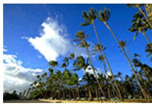 CANON PIXMA MG2555 - Réglage de l'intensité - 1