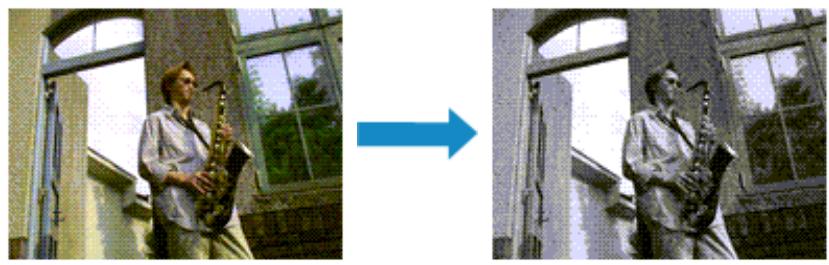 CANON PIXMA MG2555 - Impression d'un document couleur en monochrome - 1