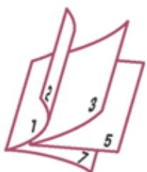 CANON PIXMA MG2555 - Impression de brochure - 1