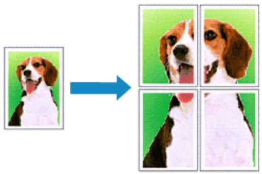 CANON PIXMA MG2555 - Impression Mosaic/Poster - 1