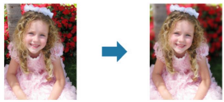 CANON PIXMA MG3150 - Arrière-plan flou - 1