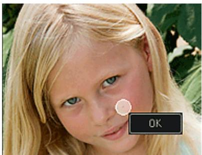 CANON PIXMA MG3150 - Remarque - 1