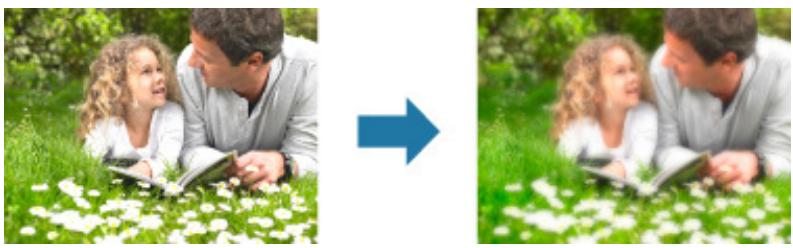 CANON PIXMA MG3150 - Amélioration avec flou artistique - 1