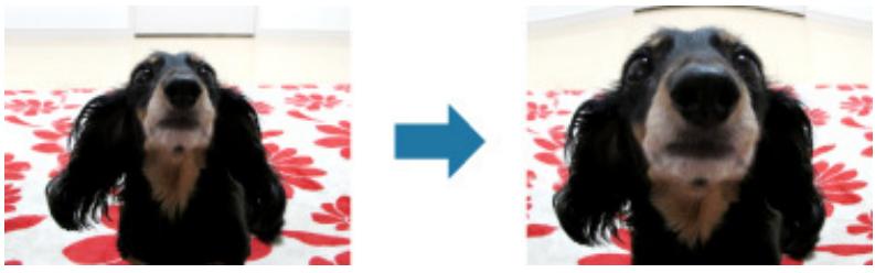 CANON PIXMA MG3150 - Effet tr. gd angle - 1