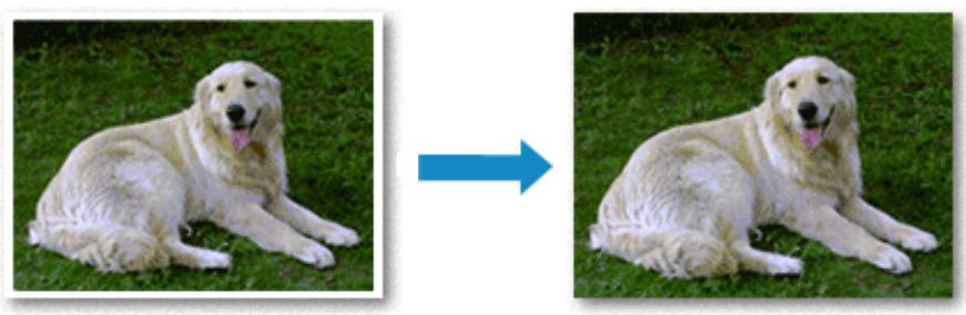 CANON PIXMA MG3150 - Exécution d'une impression sans bordure - 1