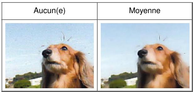 CANON PIXMA MG3150 - Réduction de l'aspect granuleux - 1