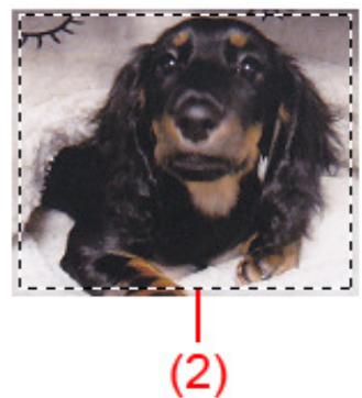 CANON PIXMA MG3150 - Types de cadres de découpe - 2