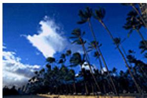 CANON PIXMA MG3150 - Réglage de l'intensité - 2