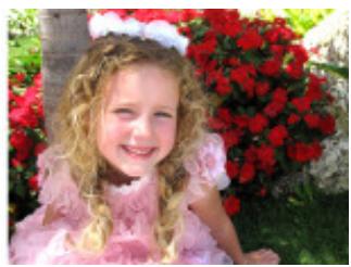 CANON PIXMA MG3150 - Utilisation de la correction automatique des photos - 3