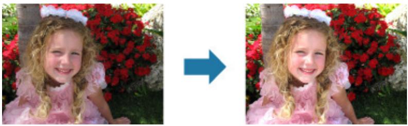 CANON PIXMA MG3150 - Correction auto. des photos - 1