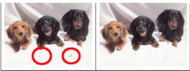 CANON PIXMA MG3150 - Réduction de la poussière et des imperfections - 1