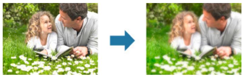 CANON PIXMA MG3150 - Flou artistique - 1