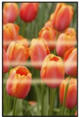 CANON PIXMA MG3150 - Les couleurs sont inégales - 1