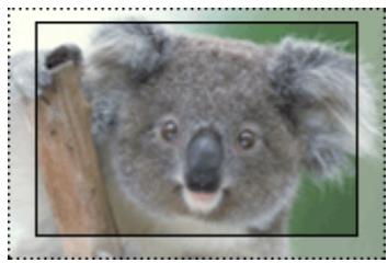 CANON PIXMA MG3150 - Taux d'extension - 1