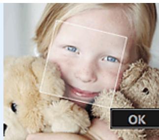 CANON PIXMA MG3150 - Remarque - 1