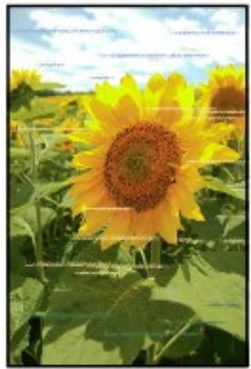 CANON PIXMA MG3150 - Les couleurs sont striées - 1