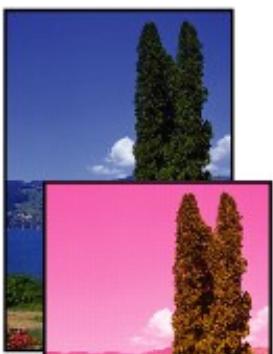 CANON PIXMA MG3150 - Aucun résultat d'impression/L'impression est floue/Les couleurs ne sont pas fidèles/Traces blanches - 2