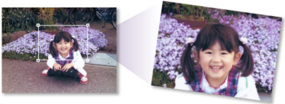 CANON PIXMA MG3150 - Découpage des images numériées - 1