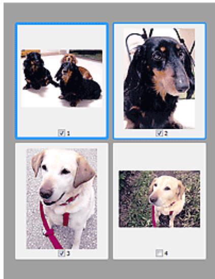 CANON PIXMA MG3150 - (Miniature) est affichée dans la barre d'outils - 1