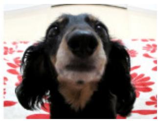 CANON PIXMA MG3150 - Amélioration avec effet très grand angle - 3