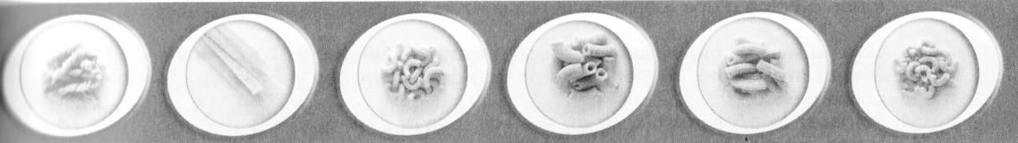 DURANDAL HACHOIR GOURMET - Un peu d'histoire... - 1