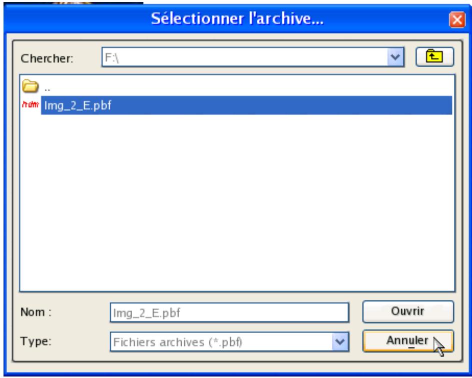 PARAGON SOFTWARE PARTITION MANAGER 10 PROFESSIONAL - Programme principal - 11