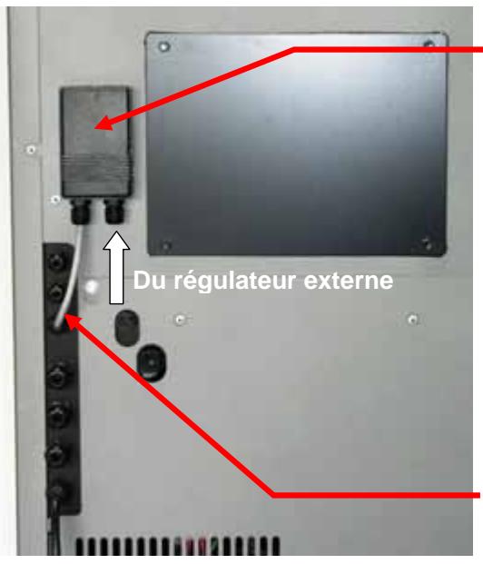 WODTKE CW 21 - Priorités : - 2