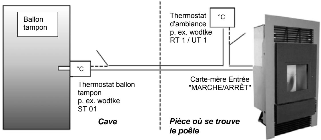 WODTKE CW 21 - Option : - 2