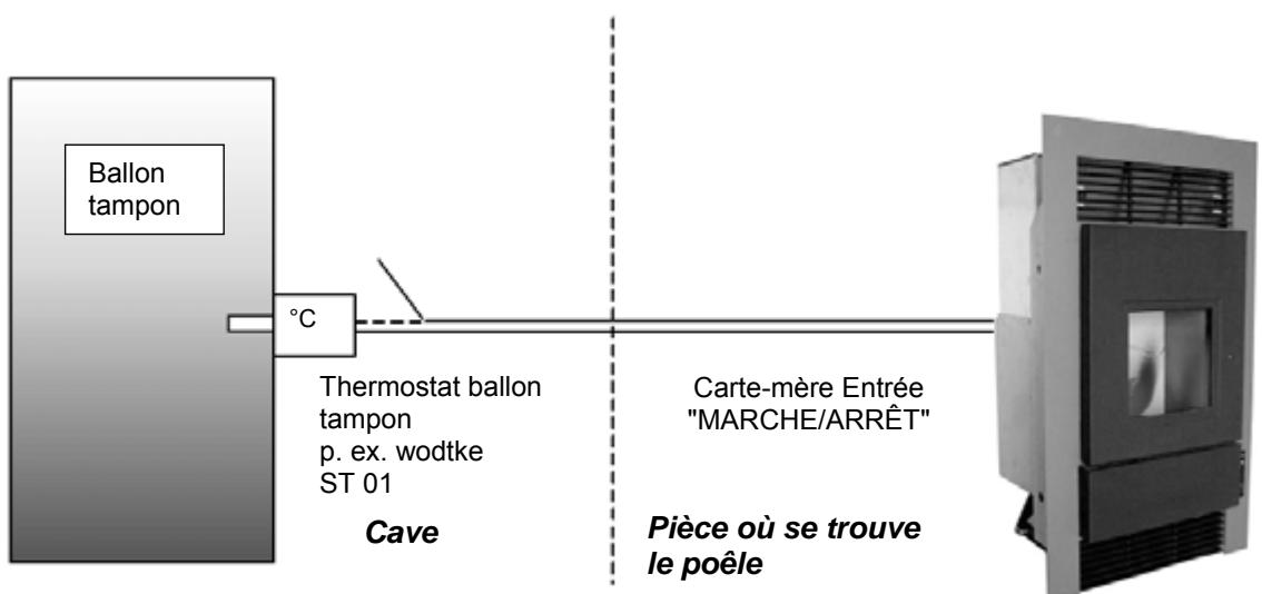 WODTKE CW 21 - Option : - 1