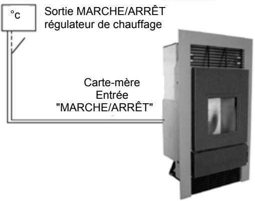 WODTKE CW 21 - Option : - 2