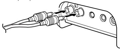 ECLIPSE TD501II - Hauptseinheit - 3
