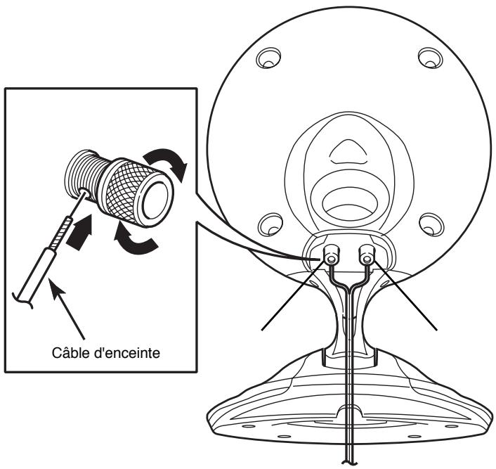 ECLIPSE TD510 - Nom et fonction des pieces, connexions - 1