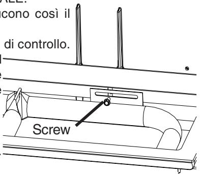 NAPOLEON GRILLS PRESTIGE II 308 - ISTRUZIONI PER LA MANUTENZIONE - 1