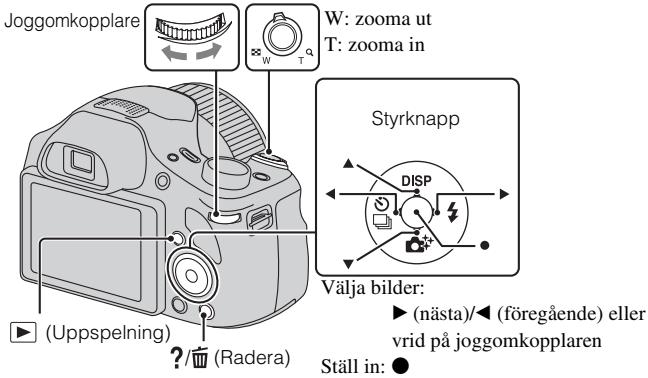 SONY CYBER-SHOT DSC-HX300 - Uppspelning av Bilder - 1