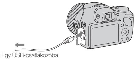 SONY CYBER-SHOT DSC-HX300 - Feltoltés szamítógephez csatlakoztatással - 1