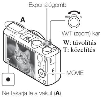 SONY CYBERSHOT DSC-HX60 - Fenyképek ésmozgókepek keszítese - 2