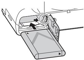 SONY CYBERSHOT DSC-HX60 - Instrimento del pacco batteria - 2