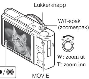 SONY CYBER-SHOT DSC-RX100M III - Ta stillbilder / ta opp film - 2