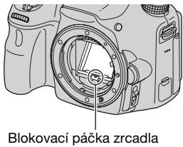 SONY ALPHA SLT-A58 - Cistěné snímače obrázu ofukovacím balonkem - 1