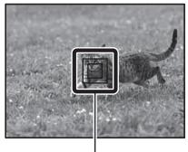 SONY ALPHA SLT-A58 - Stiskněte tlačitko spoustě napůl, aby se fotoparát automaticicky zaměřil na cíl a sledoval objekt. - 1