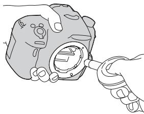 SONY ALPHA SLT-A58 - Cistěné snímače obrázu ofukovacím balonkem - 2