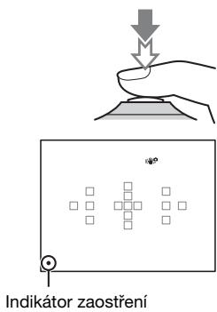 SONY ALPHA SLT-A58 - Pro zaostrení stiskněte tlačitko spoustě napůl. - 1