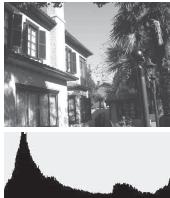 SONY ALPHA SLT-A58 - Histogram - 3