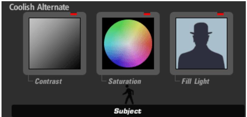 RED GIANT MAGIC BULLET LOOKS SE - Outils sujet - 1